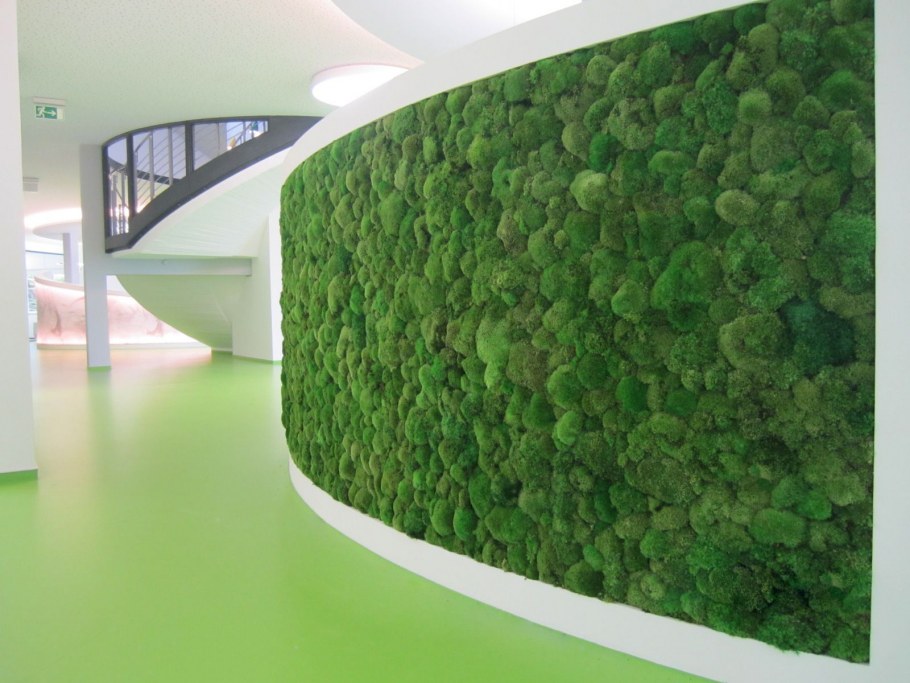 Фитостена из стабилизированного мха и растений