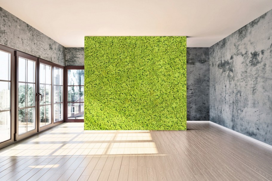 Фитостена в белой гостиной