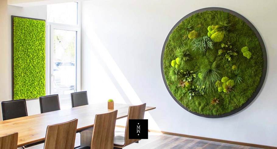 Стена из стабилизированного мха ягель