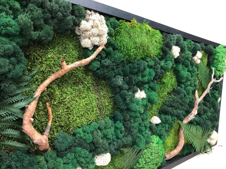 Сублимированный мох