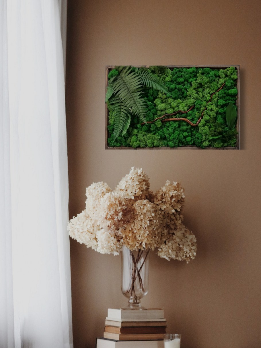 Фитостена мох