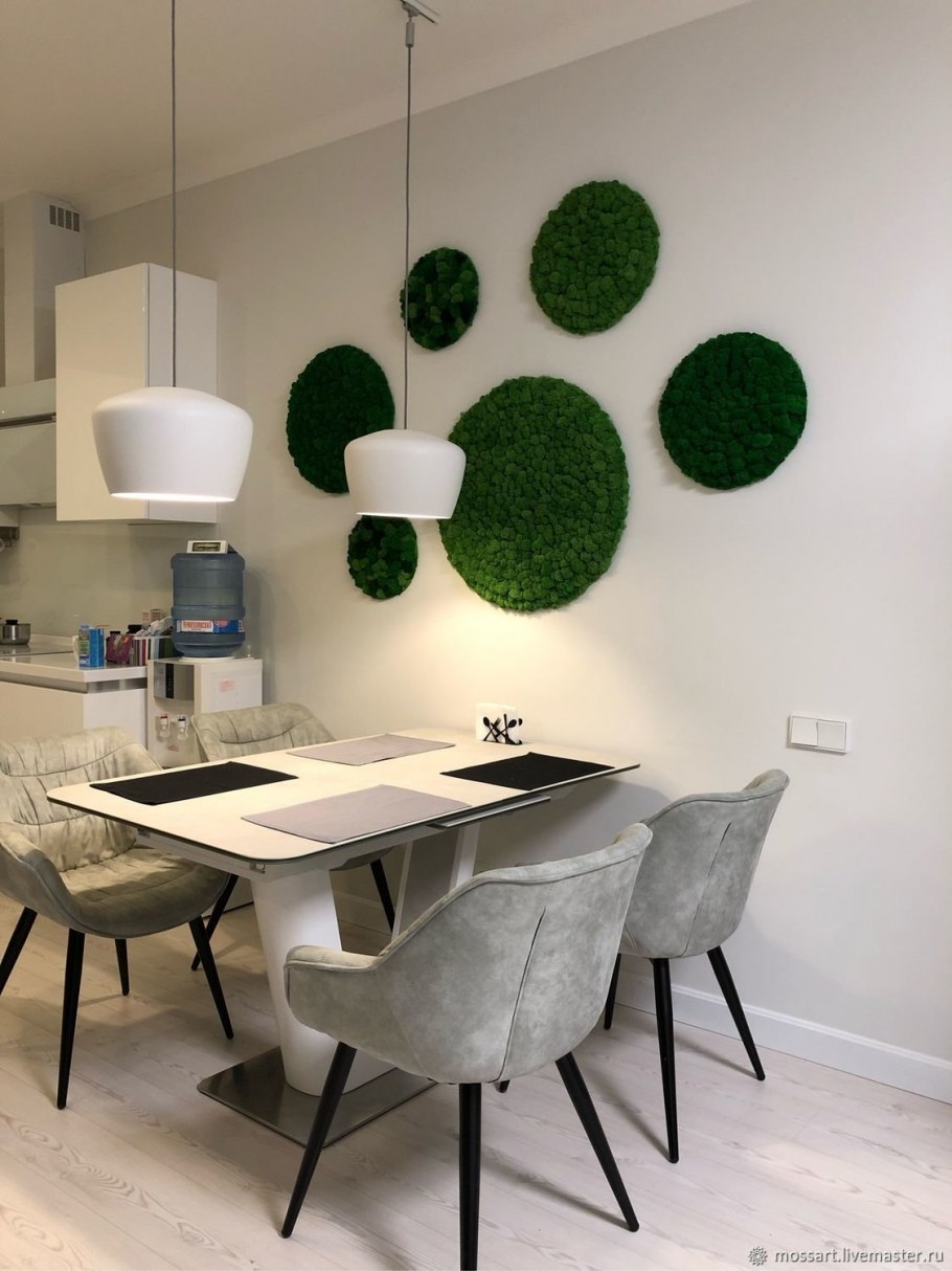 Фитостена можжевельник