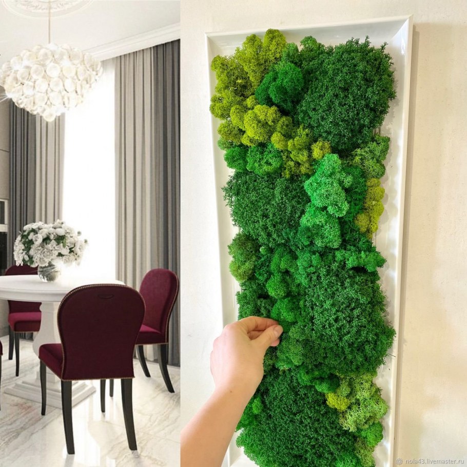 Стена из мха ягель