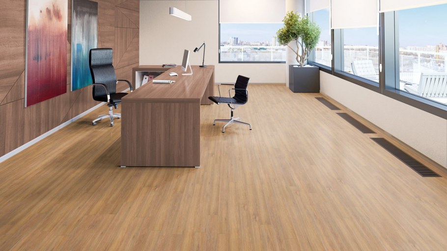 Acczent Pro aspect 2