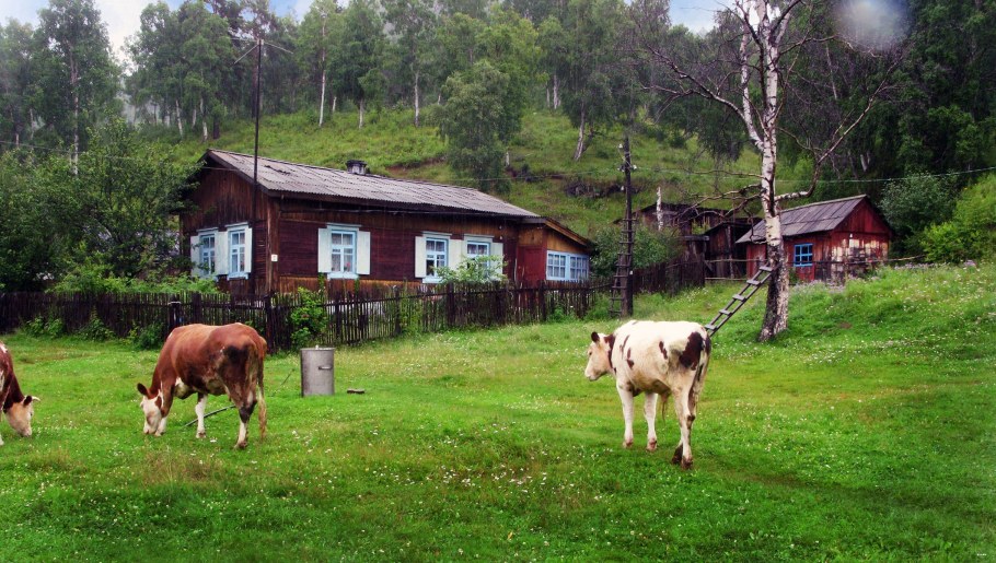 Украинское подворье