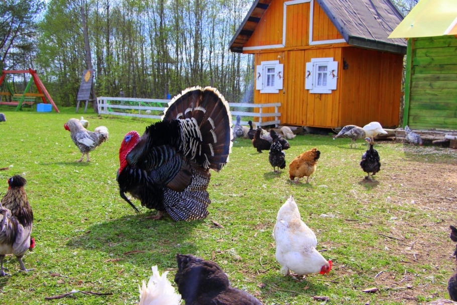 Ферма в Висконсине