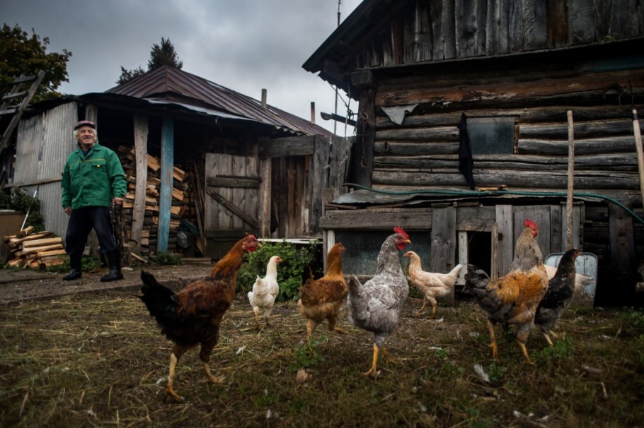 ЗАО Покровская Слобода Княгининский район