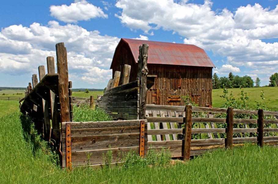 Англия ферми