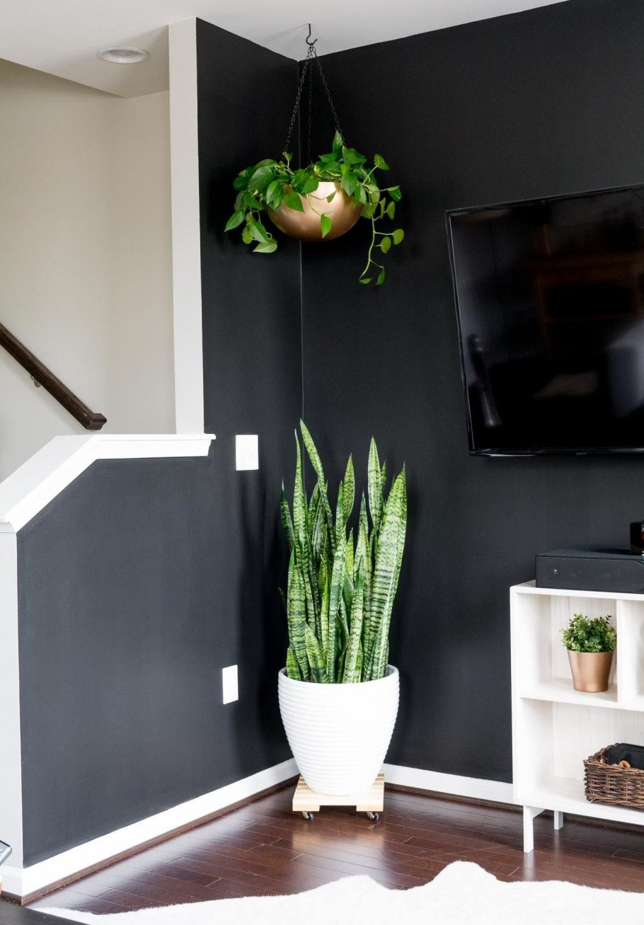 Сансевьера Грин Хаус