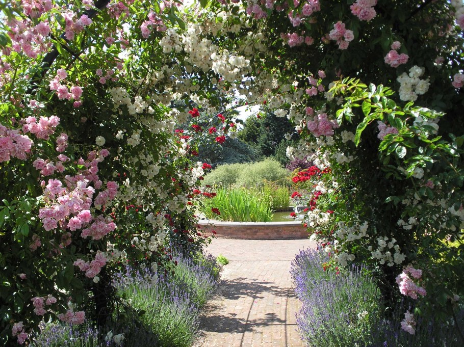 Mottisfont Rose Gardens, Великобритания
