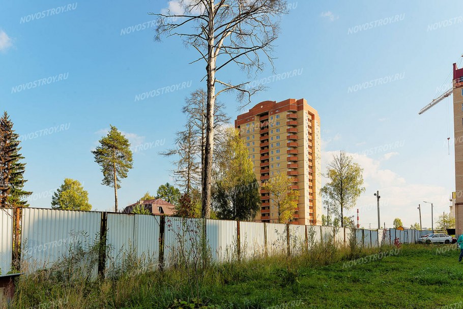 Пушкинский лес поселок