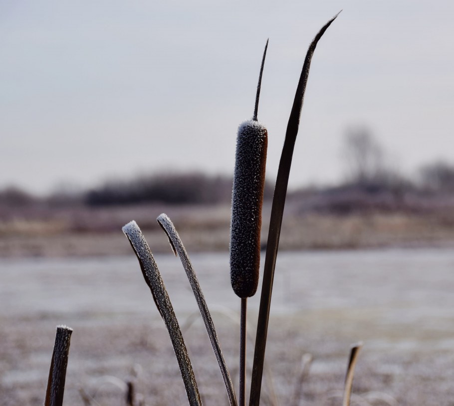 Комната в стиле экостиль