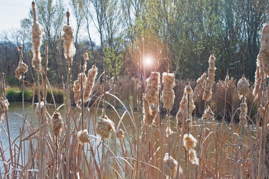 Природный декор в интерьере