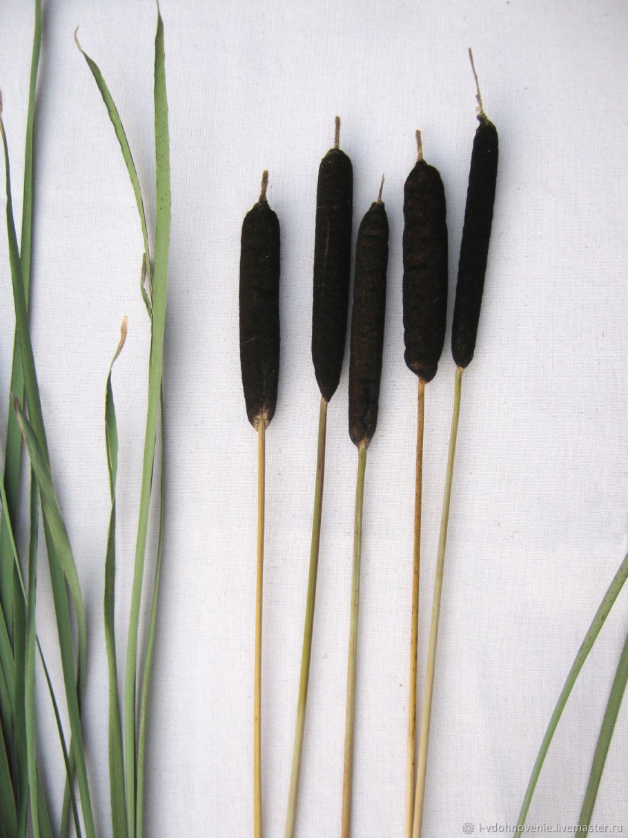 Декоративные перегородки из бамбука