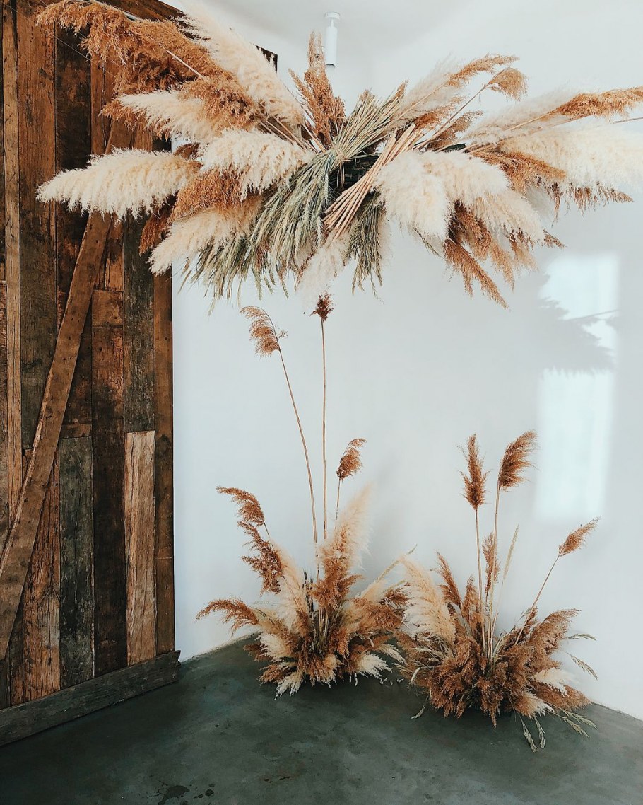 Камыш рогоз Осока