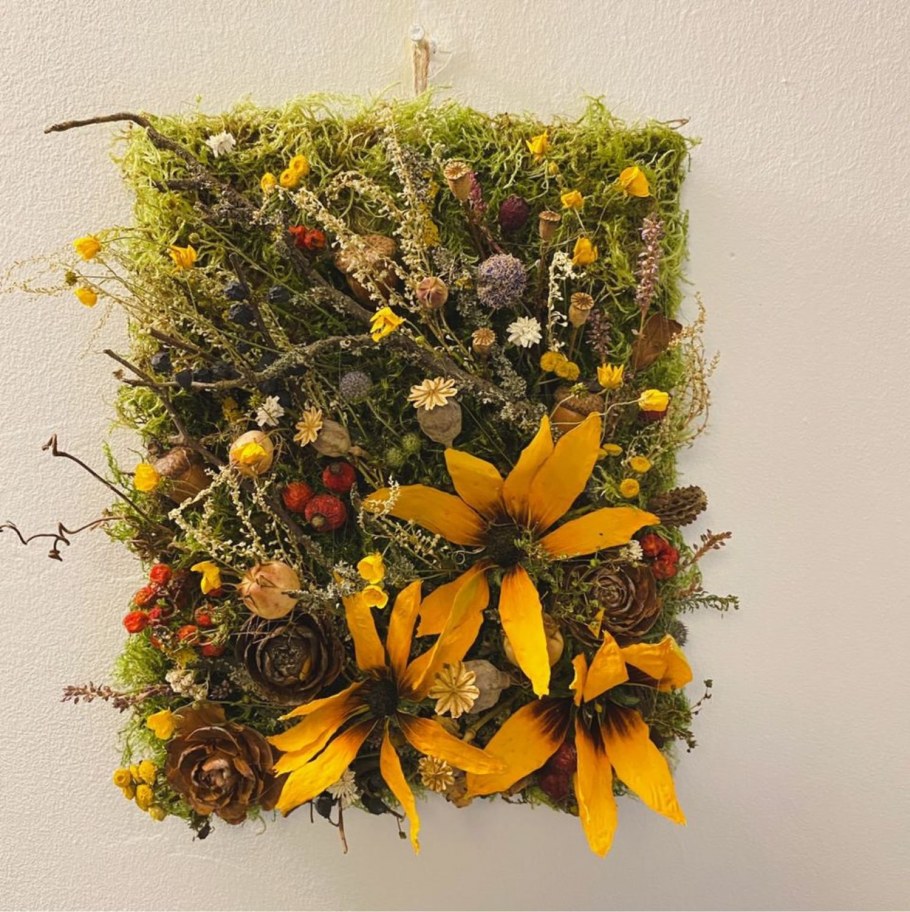 Сухоцветы для декора