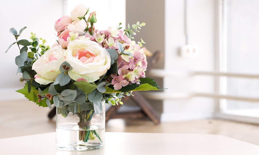 Пудровая гортензия