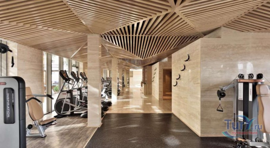 Деревянный потолок в спортзале