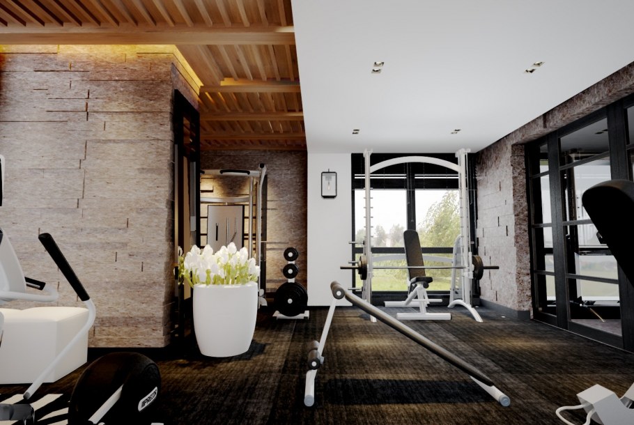 Стиль интерьера поместья домашний спортзал