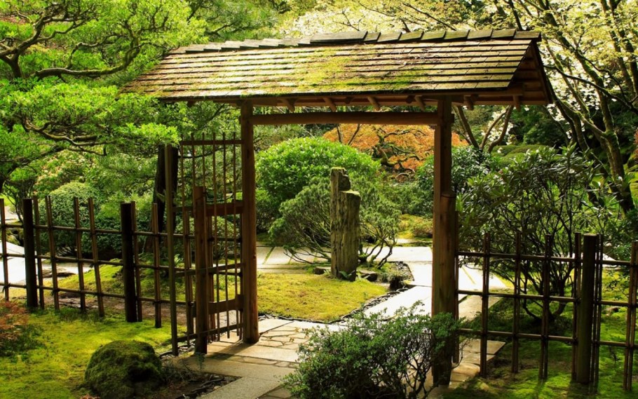 Коичи Курису ландшафтный дизайнер