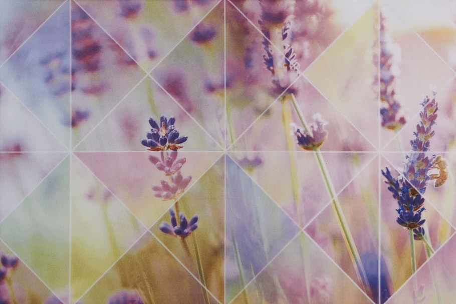 Лаванда роз верх 01 200х300 (1-й сорт)