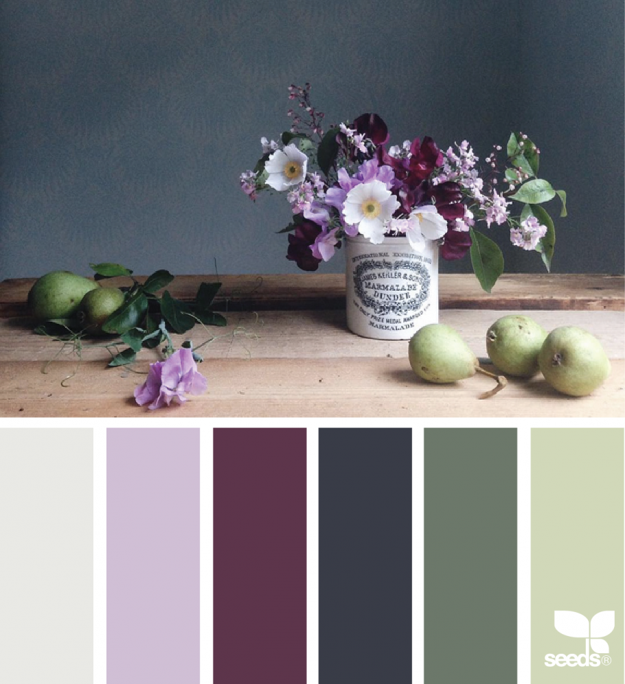 Сочетание цветов сливовый