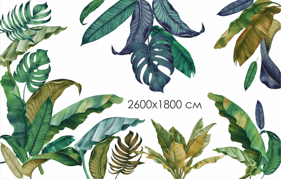 Листья бананового дерева
