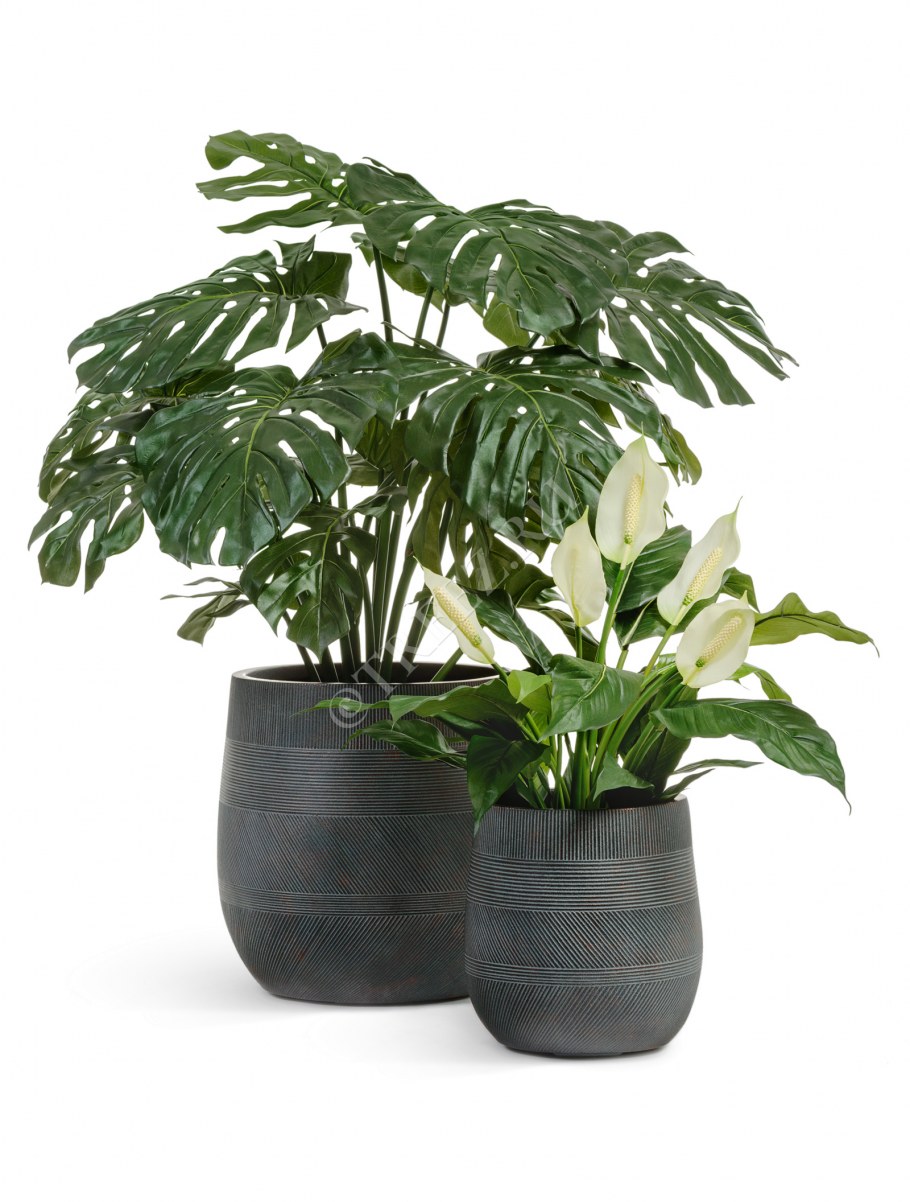 Кованые настенные цветочницы