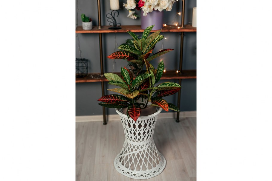 Кованые настенные подставки для цветов