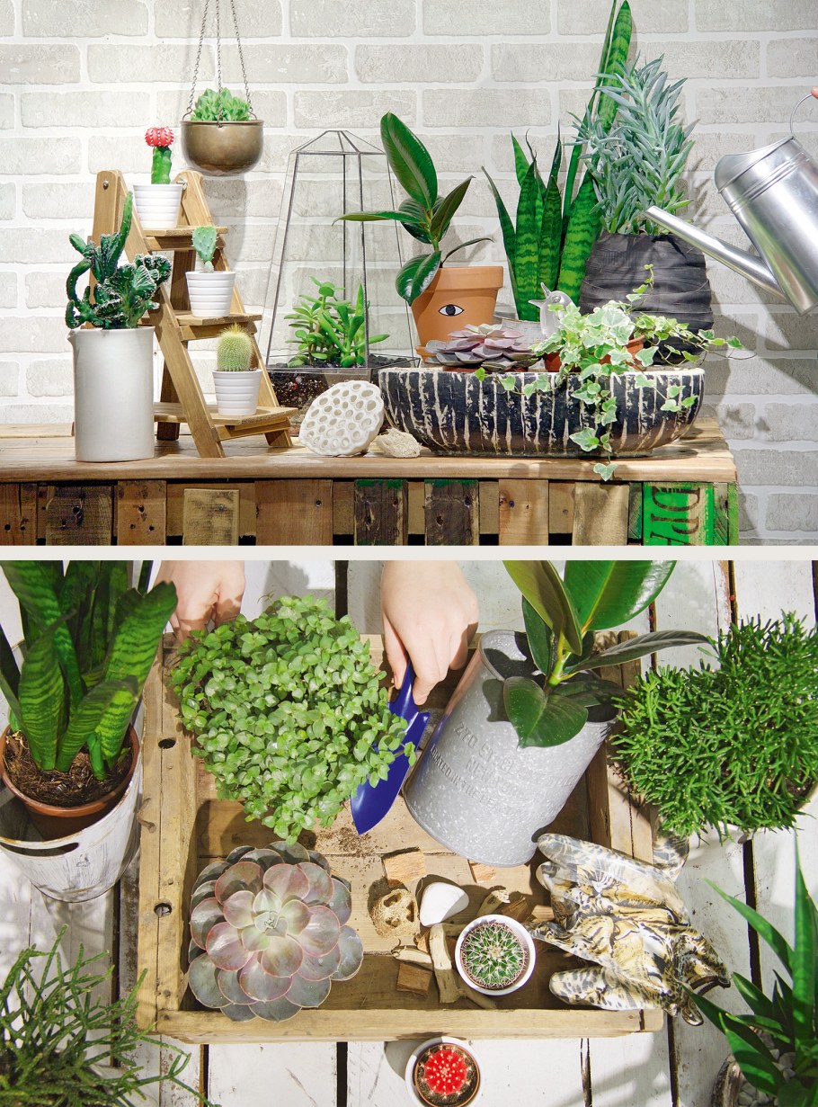 Цветы в интерьере кухни