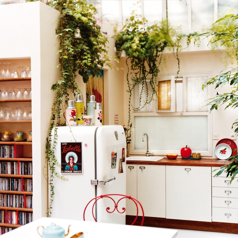 Вьющиеся комнатные растения в интерьере