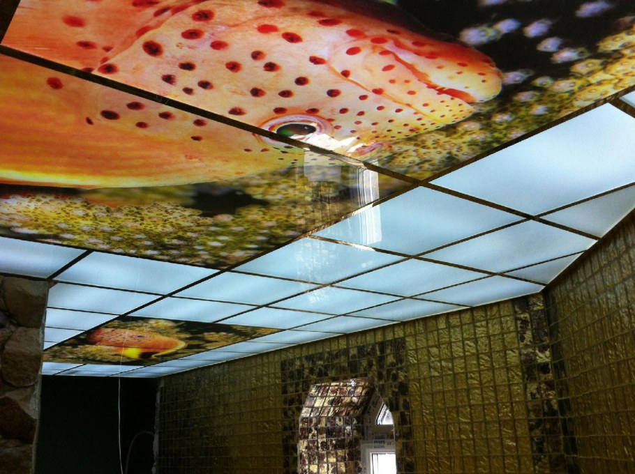 Натяжные потолки колхоз