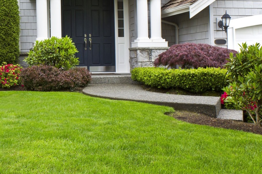 Газон и Живая изгородь