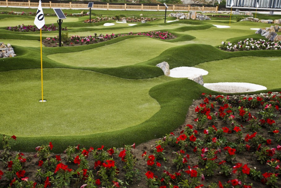 Грин площадка гольф