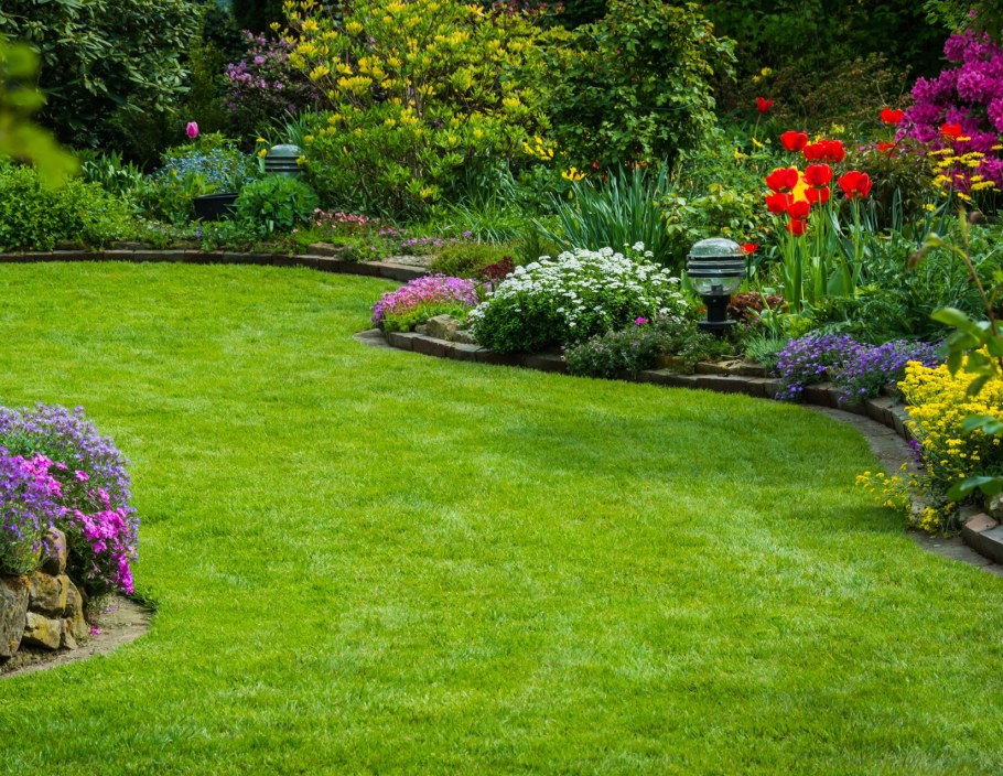 Озеленение двора