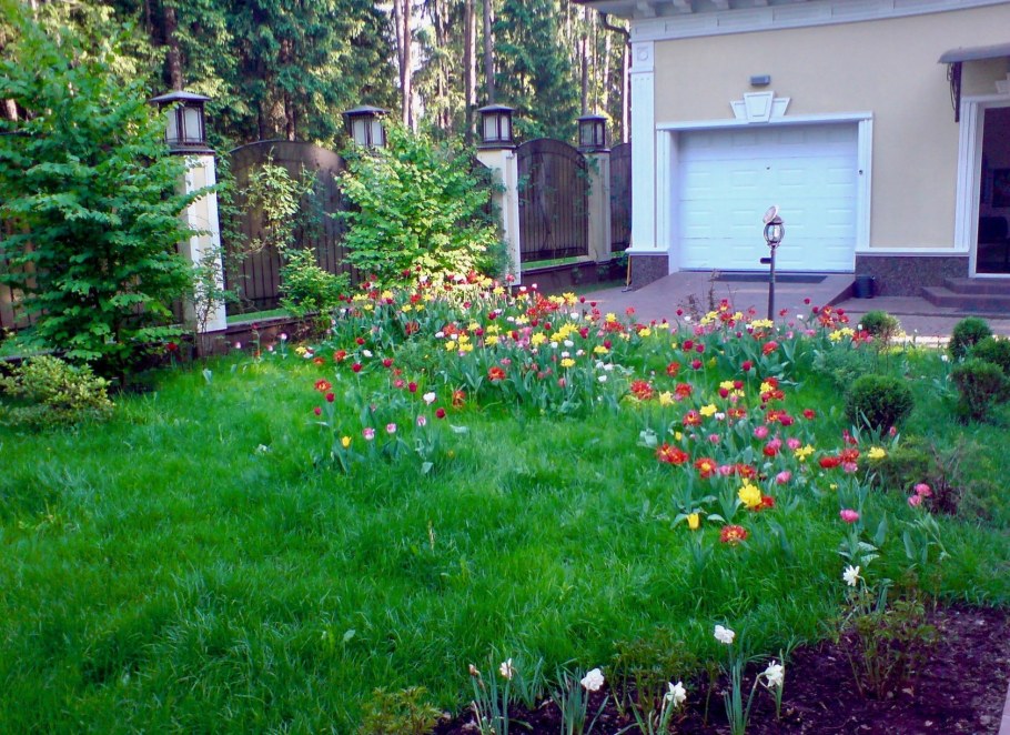 Ландшафтный дизайнер газон Луговой