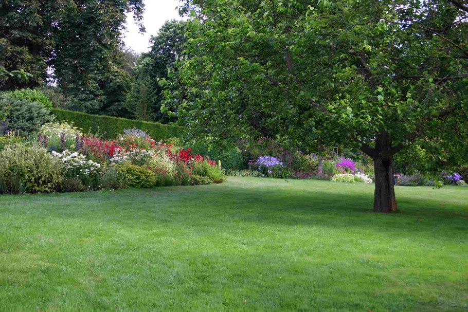 Газоны с цветами панорама