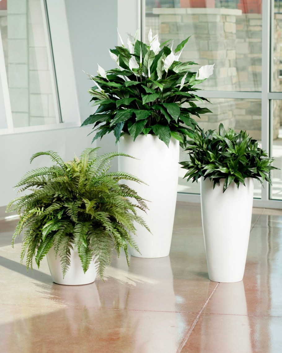 Кашпо Lechuza Rondo 40