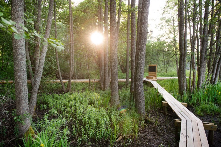 Ландшафтный парк лес