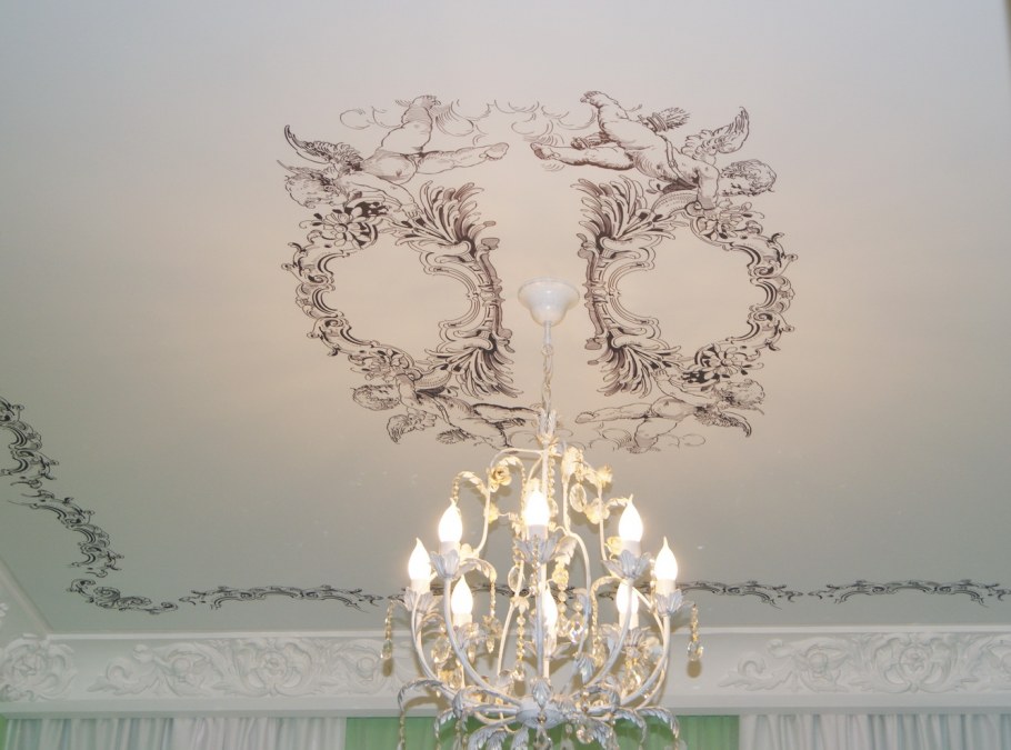Орнамент вокруг люстры
