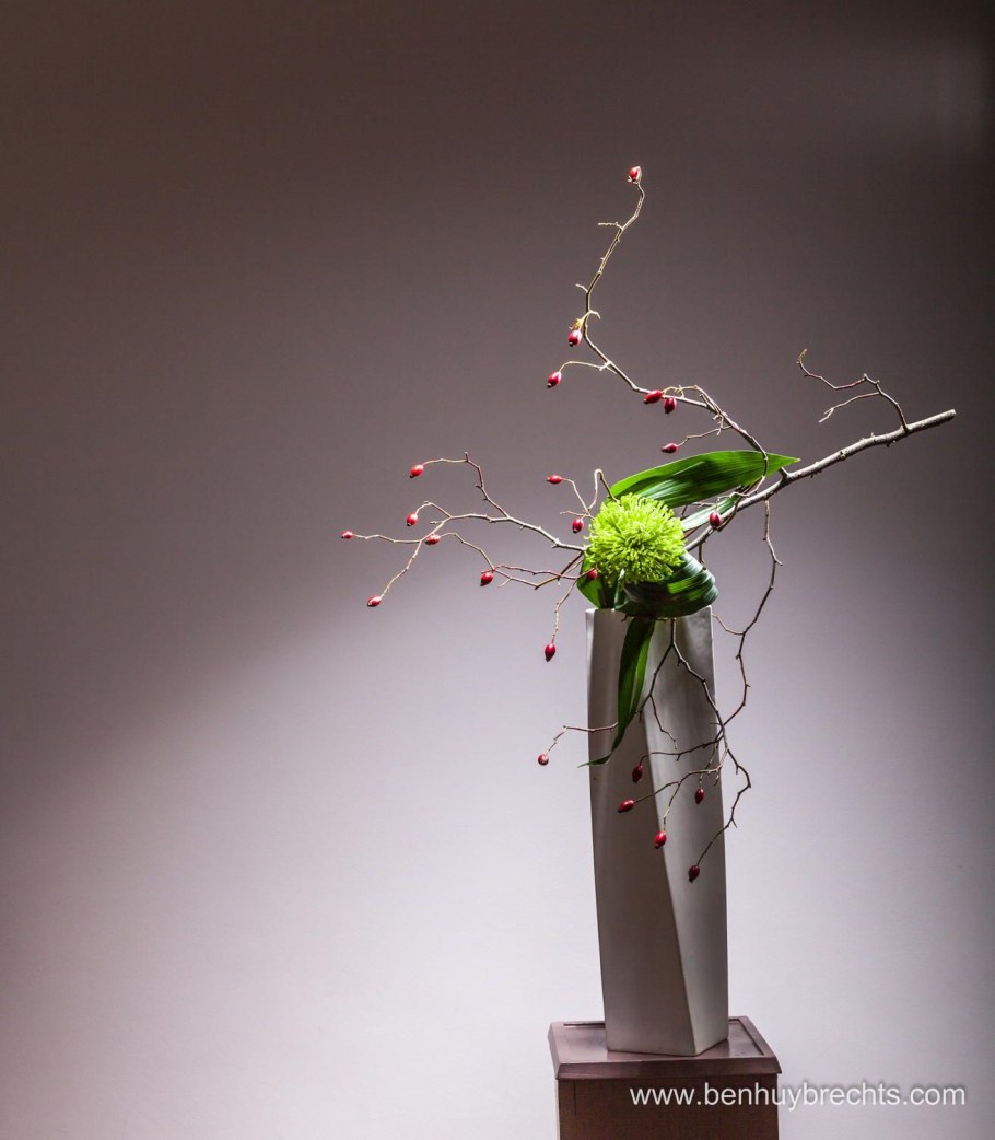 Флористика Минимализм