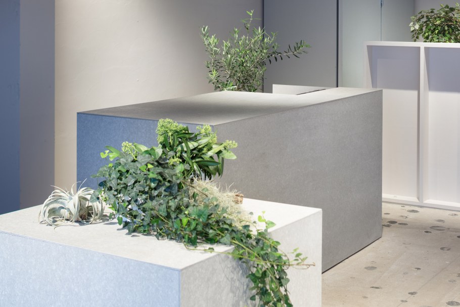 Рускус, эустома, эвкалипт