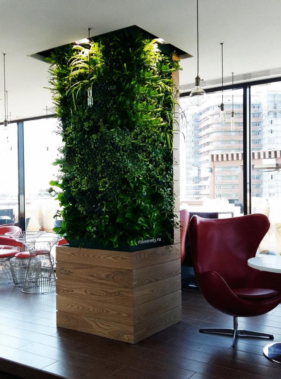 Green Sky фитостены