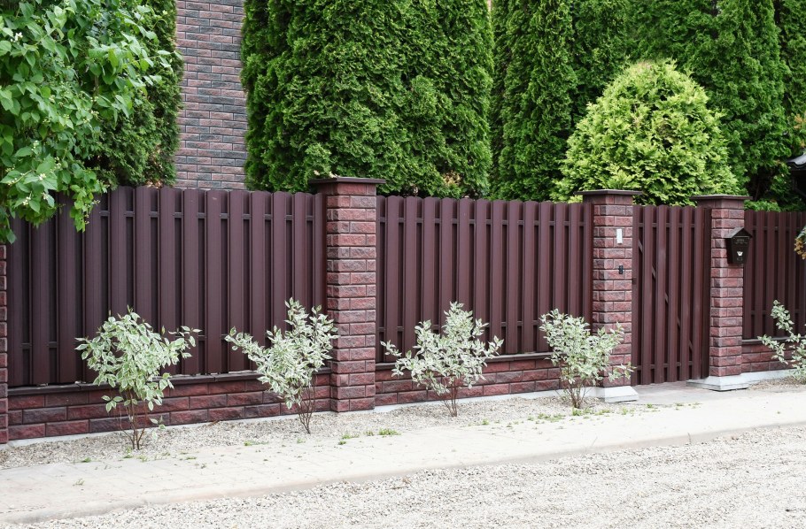 Забор БРИКС