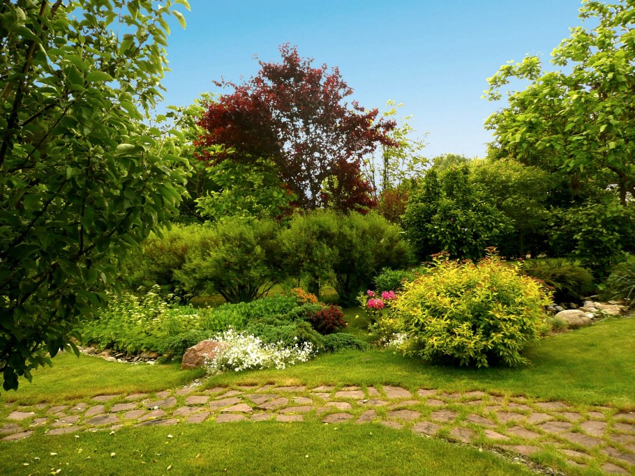 Сад в пейзажном стиле в Подмосковье