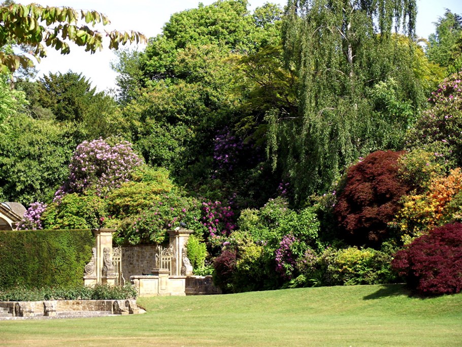 Сайтон парк Англия