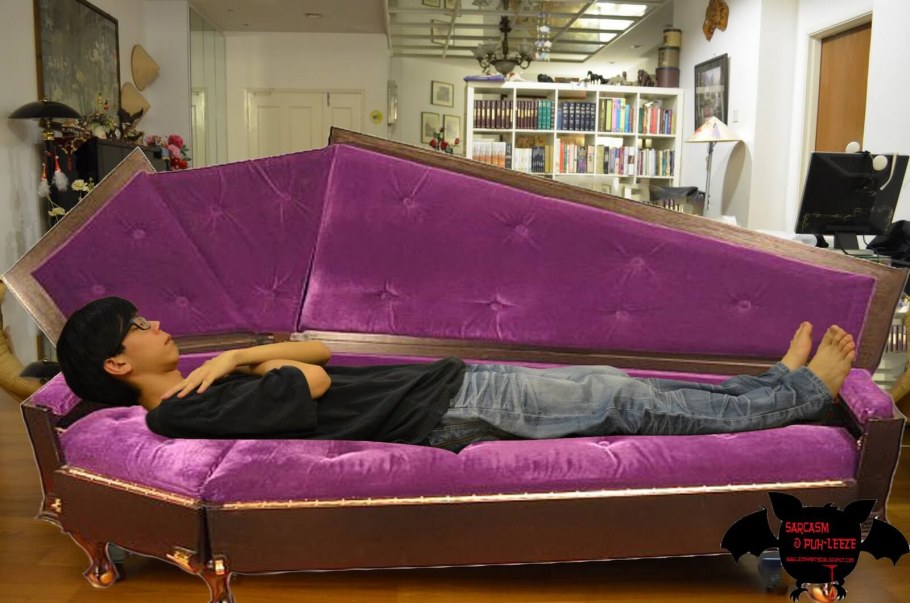 Кровать гроб