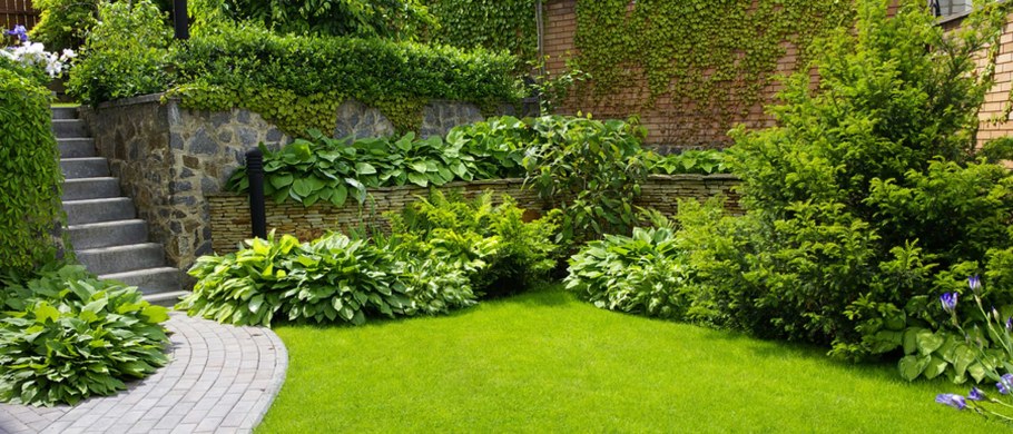 Зеленая стена из растений на улице