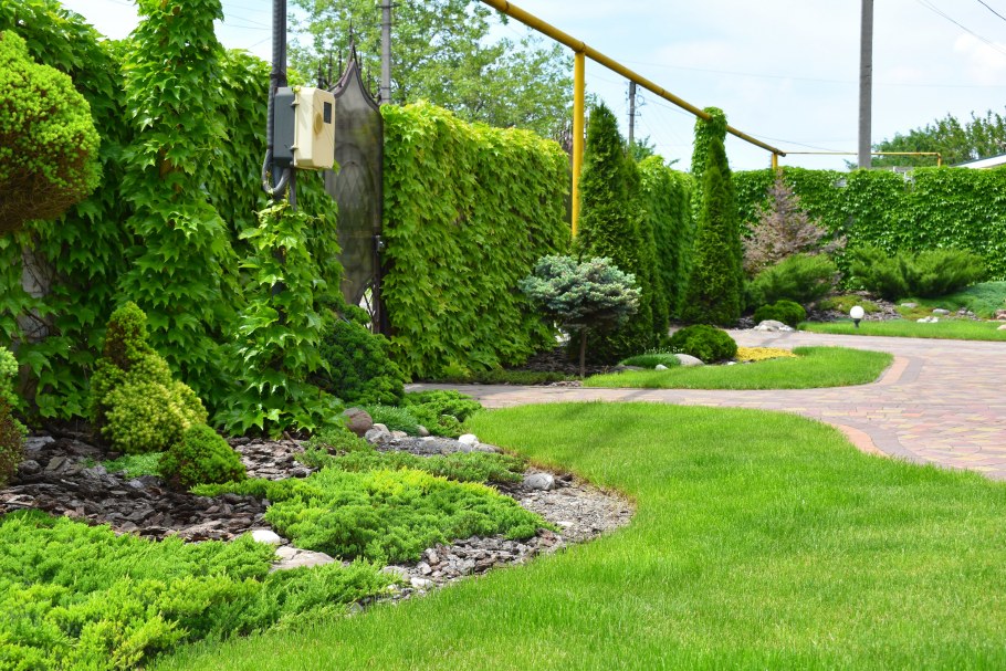 Парк Галицкого вертикальное Озеленение