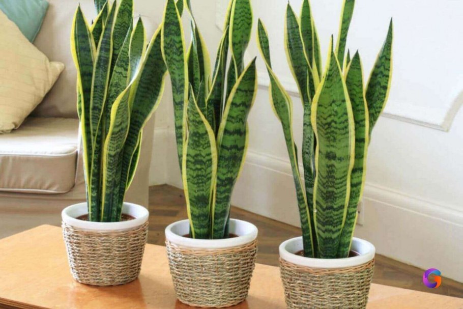 Декор цветком щучий хвост